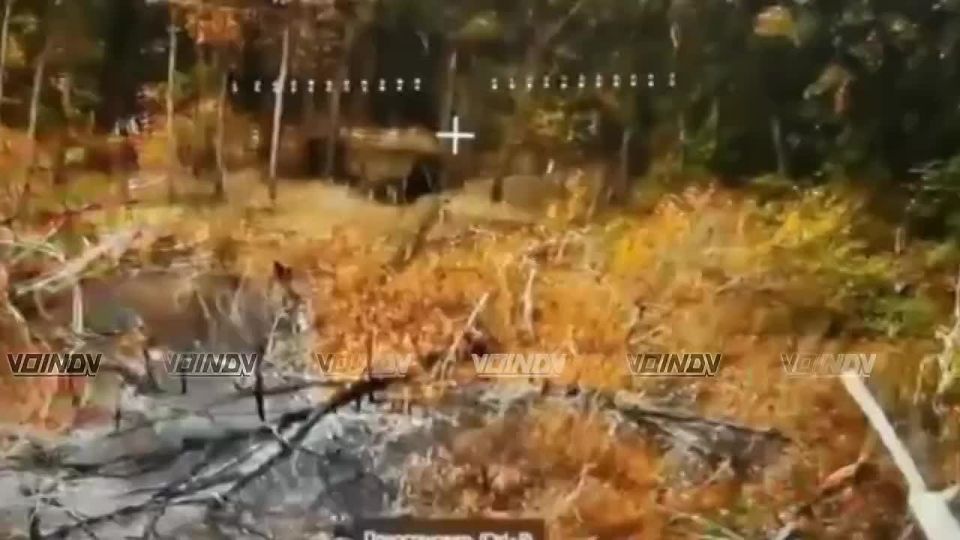    14     29    &quot;&quot;