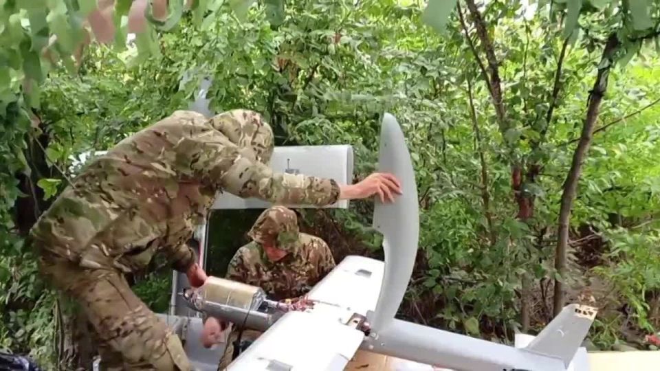          &quot; &quot;      &quot;&quot;   