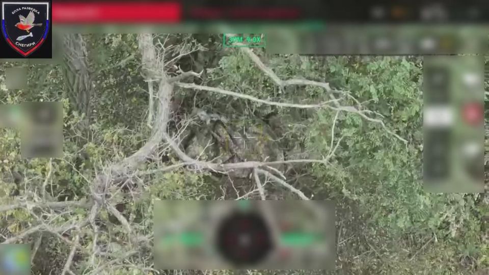    37      &quot;&quot;    ,   