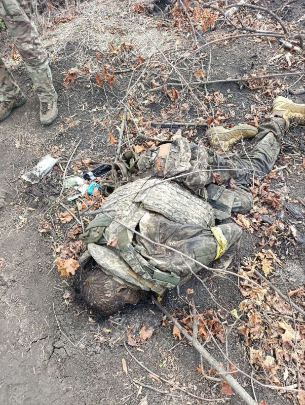  : 15  1959 ,  66  ,      ,    