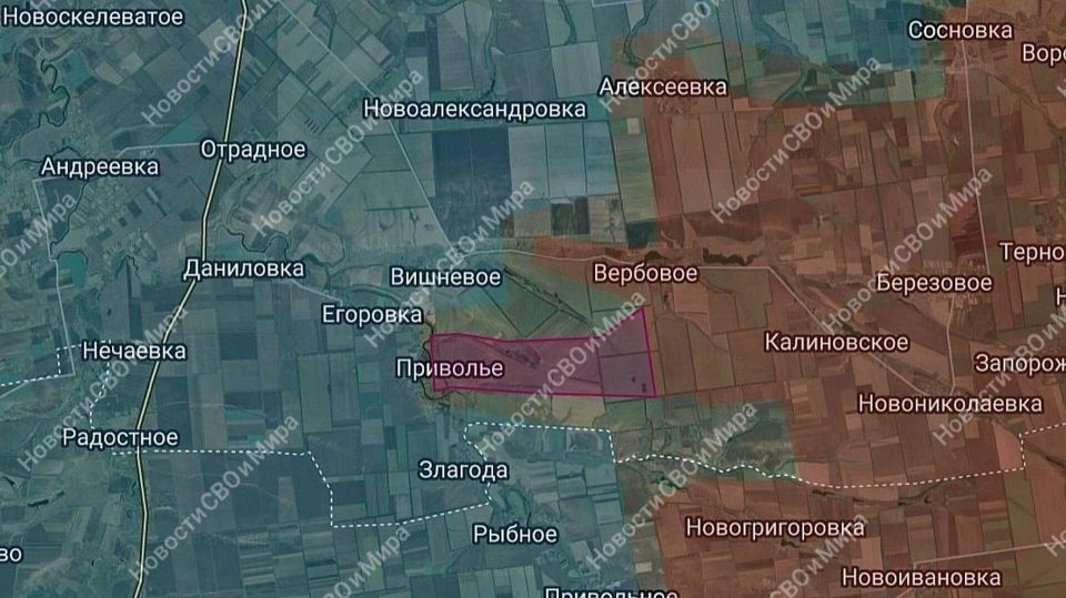 ���� ����� ���������� �.�. �������� � ���������������� �������