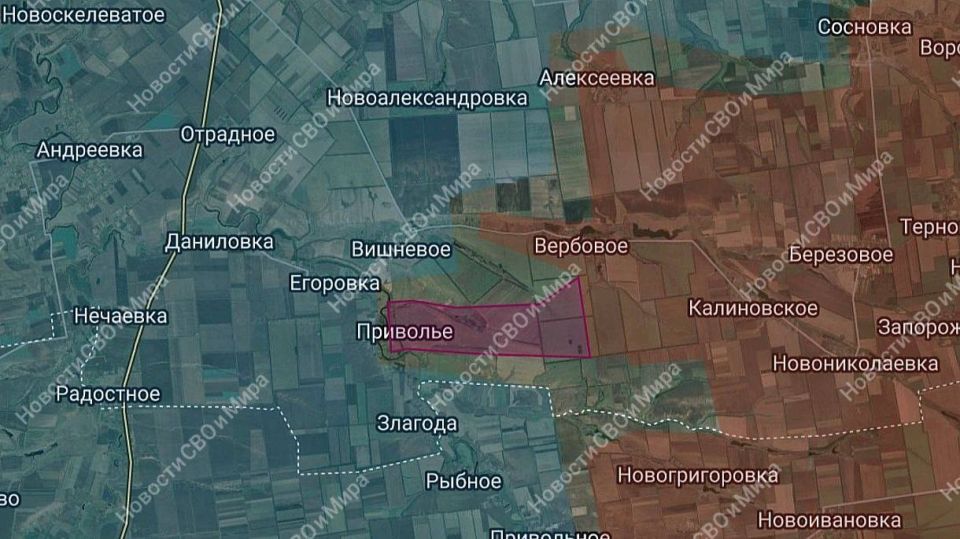 ���� ����� ���������� �.�. �������� � ���������������� �������