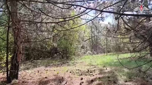  :        