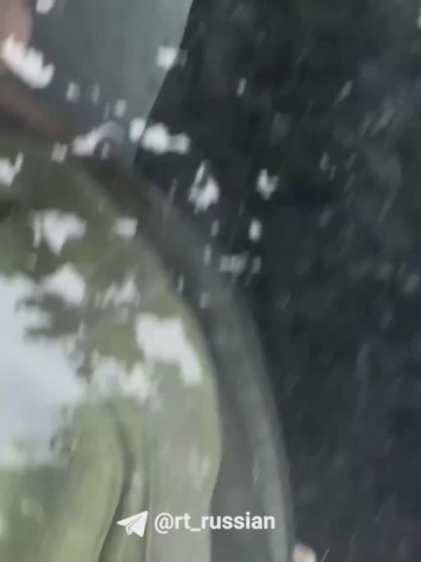 C**** ,      , ***.  !