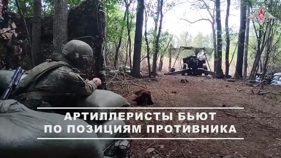 Минобороны России: Артиллеристы группировки войск «Восток» отработали по выявленным целям в Днепропетровской области