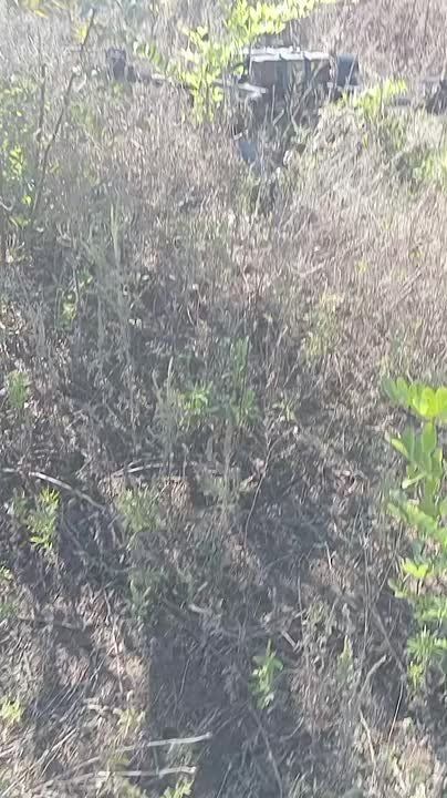  :       -    -  &quot; &quot;