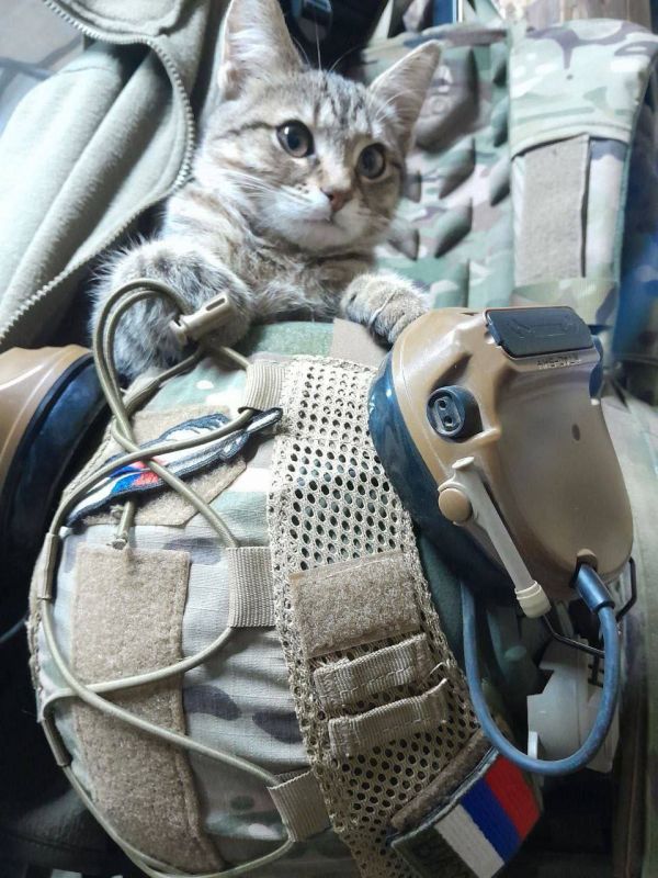 Роман Насонов: В районе Павлограда была успешно нейтрализована батарея зенитной ракетной системы Patriot, которая была поражена двумя баллистическими ракетами Искандер