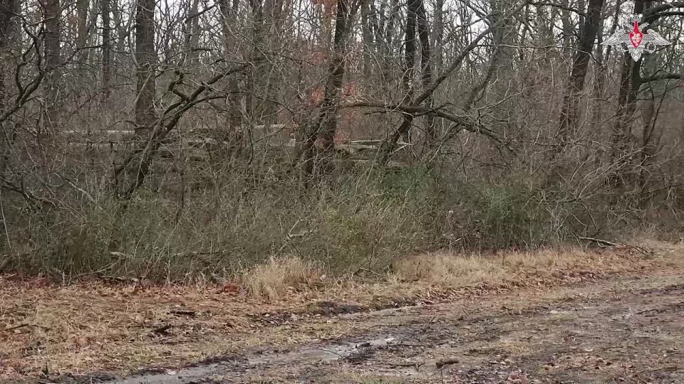 Минобороны России: Расчёт РСЗО «Торнадо-С» группировки войск «Восток» нанес огневой удар по опорному пункту противника в Днепропетровской области