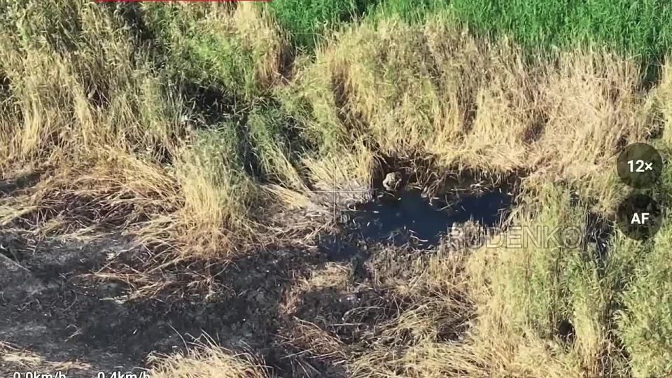 Андрей Руденко: Военнослужащие группировки войск «Центр» рассказали подробности освобождения населенного пункта Ивановка Днепропетровской области на Красноармейском направлении СВО