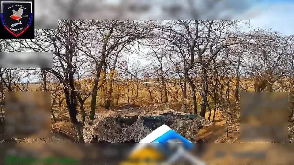    37      &quot;&quot;    ,   