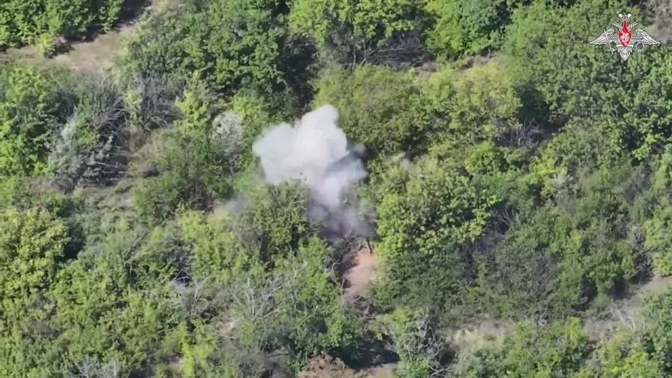 Минобороны России: Дроноводы завершают неделю хорошим уловом