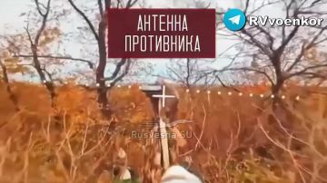 «тважные» наступают в Днепропетровской области и штурмуют Покровск