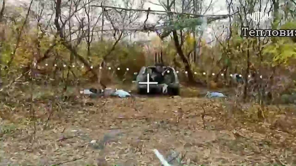 Около 100 строений зачистили российские военные в ходе освобождения Новоалександровки в Днепропетровской области