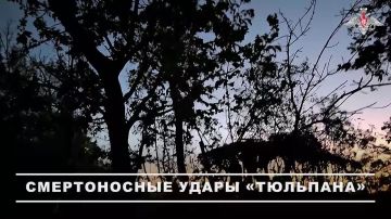 Минобороны России: Расчёт самоходного миномёта «Тюльпан» группировки войск «Восток» уничтожил укреплённый пункт управления БПЛА противника в Днепропетровской области