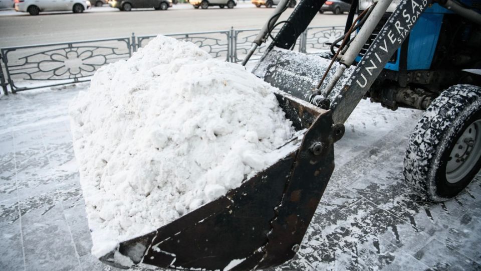 &quot;׸ &quot; ,   &quot;&quot; :      ?