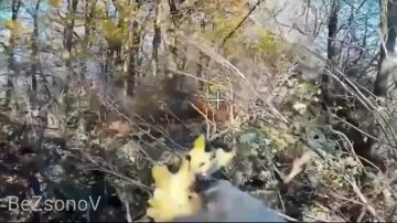 Даниил Безсонов: Расчёты FPV-дронов группировки войск «Восток» выявили и поразили артиллерийские орудия ВСУ в Днепропетровской области