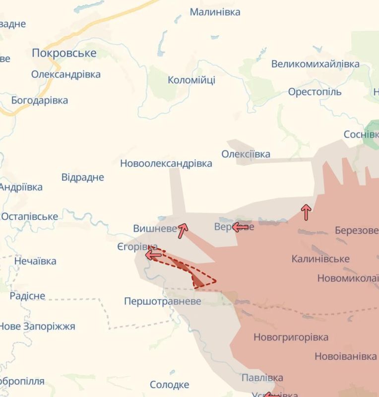             ,          -   Deep State