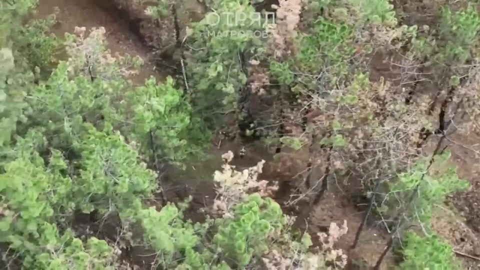 В ходе операции в Днепропетровской области бойцы отряда им. Матросова нейтрализовали два БПЛА "Баба-Яга", используемых украинскими военными, а также их укрепленную позицию и средство связи