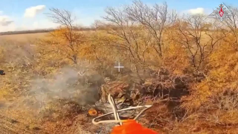  :   36-   29-            ,       ...