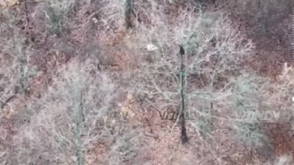 Операторы БЛА 29 армии группировки войск "Восток" ведут точечную работу по уничтожению живой силы и средств связи противника в Днепропетровской области