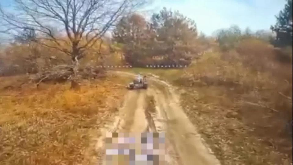   14      &quot;&quot;         