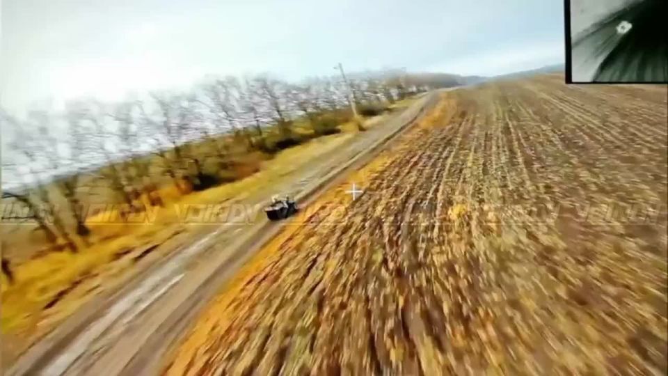     14      &quot;&quot;      