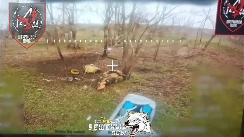 ��������� ���� 74 ������� ������ ������������ ���������������� ������� � �� ����������� �� ��������� ������