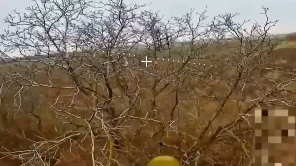 ������ �����: � ���������������� ������� ������������� ����� ����������� ������ ����������� ����� ������� �� ��������������� ����������� ������� ������� � ���������� ������ ������ ������������� ��� ���� ����� ���