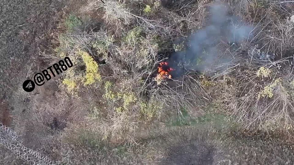 "�������" ����� ��� � ������ �� �������� ���������������� ������� � ����������� �������