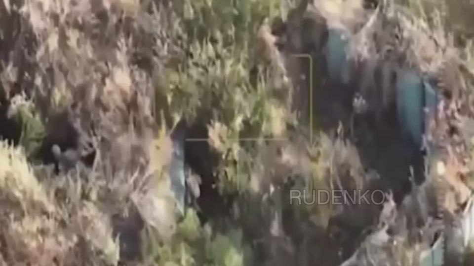 ������ �������: ��������� ���� �������� ��������� ������� ��� � ���������������� �������