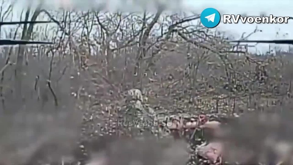 �������� �������� ��������� ��������� � ��������� � ���������������� �������