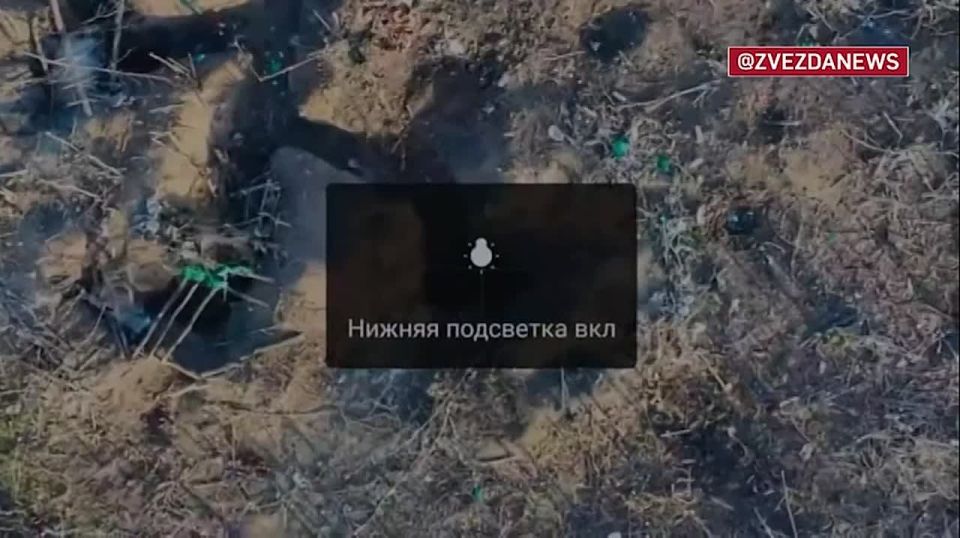 ����� ������������ ������������ � ���������������� ������� ��� �������� �� �� ������� ���������� �������� ����� 5 ��. ��