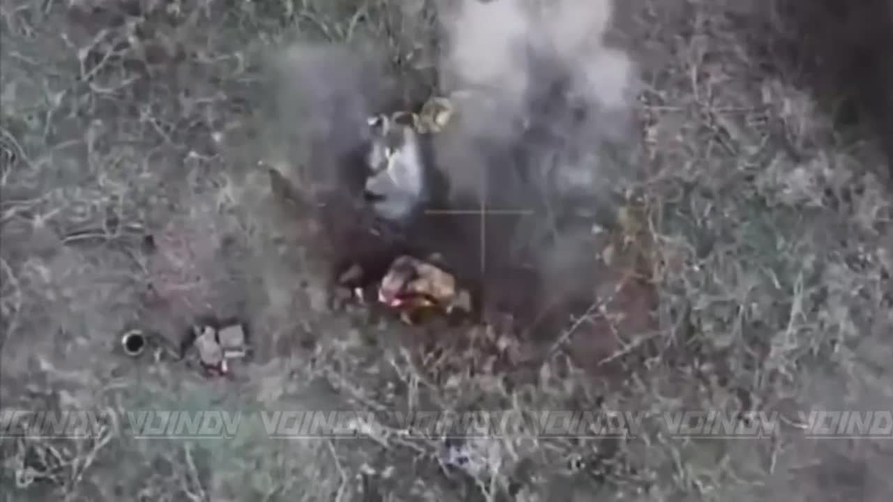 Операторы 14 гвардейской бригады спецназа группировки войск "Восток", действуя в зоне ответственности 36 армии, провели серию удачных атак на живую силу противника, который пытался контратаковать в Днепропетровской области