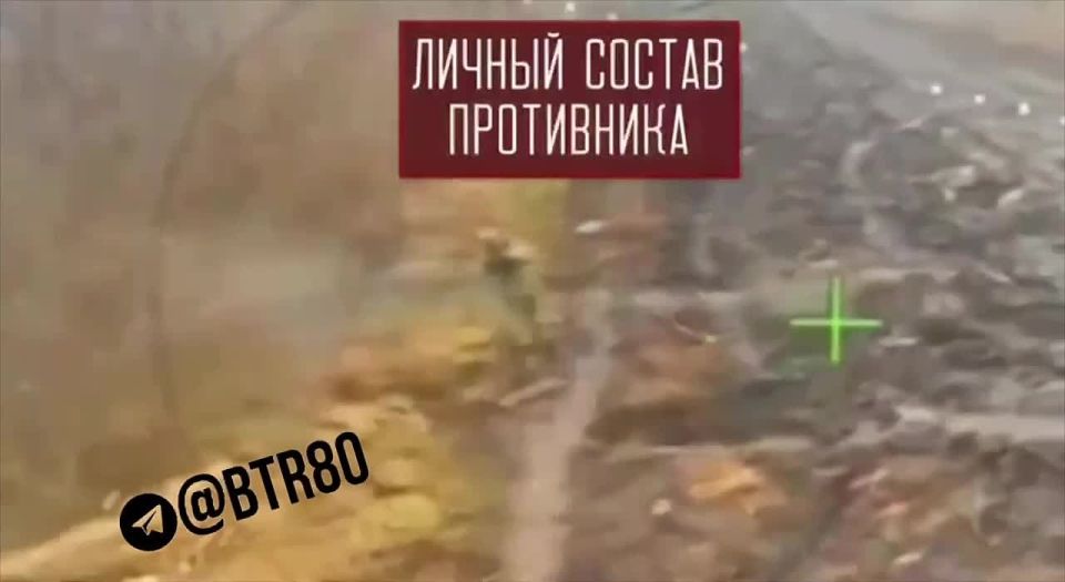 ����������� ����� ��������� � ���������������� ������� � �������� ���������