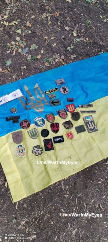 18+. �����i �������� � ������� �� ��� �������, ���������������� ����� *� ������� ��� ����������?* ����: @warinmyeyes