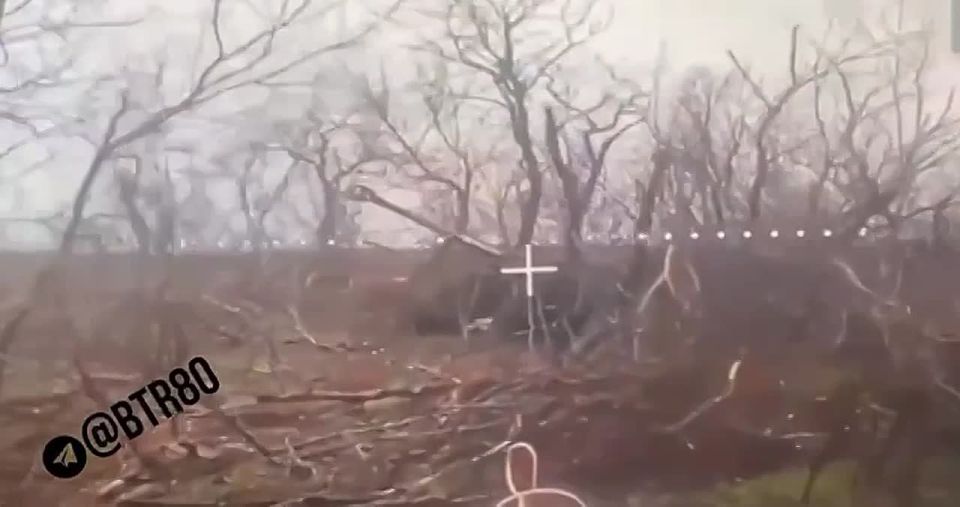 ���������� ����� ���� � ������� ���������� � ���������������� ������� ����������� ����������