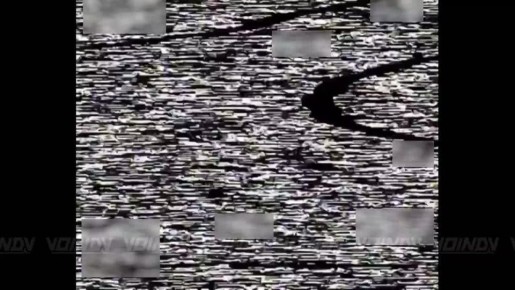 ��������� 36 ����������� �������������� ������� 29 ����� ����������� "������" ���������� ����� ����, ������������� ������� � ���� ���������� ���������������� �������