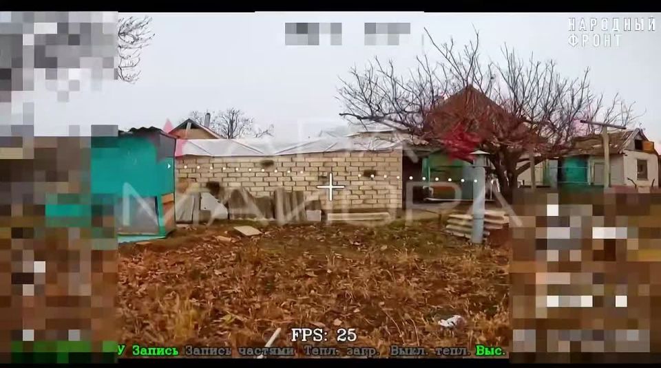 ��� ������: #������ �� ���� 24 ������� 2025 ����