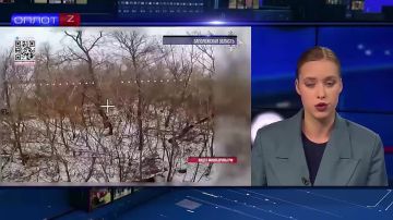 ��� �������� ���� ����� ���������� ��������� �������� �� �������� ������ ������