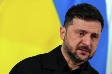 Проект Зеленского содержит угрозы нацбезопасности России, считают в Госдуме