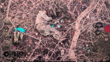 История нациста в двух актах: По позировал с флагом — сдох в канаве