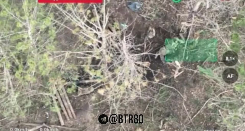 ������. ������ ������ ����� ������ ����� ���������������� ������� @btr80