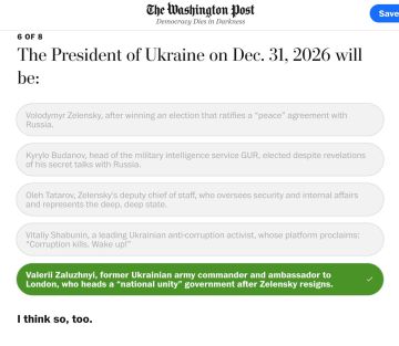 Президентом Украины в следующем году станет экс-главком Залужный