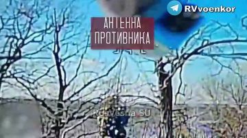 �������� ����� ��� �� ����������, ����������� � � ���������������� �������