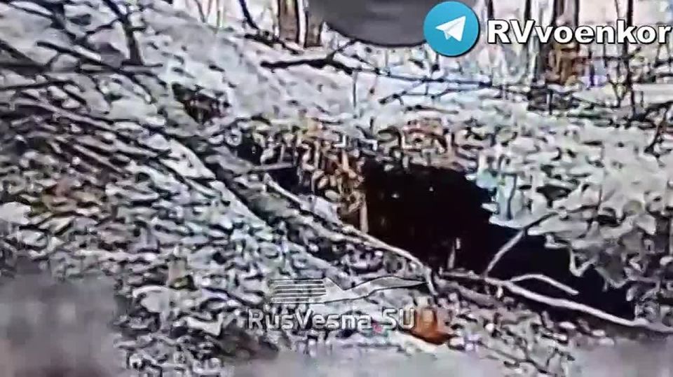 �������� ����� ��� �� ����������, ����������� � � ���������������� �������