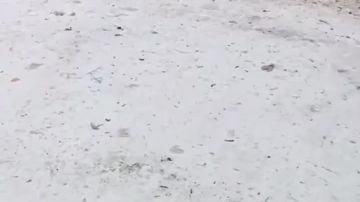 #�������_���_�����������: ������� �� ��������������� �������� �� �������� ����� "���������" � ������, � ��� ����� ���������� �� �������� ������ ������, ������� ����� �� �������