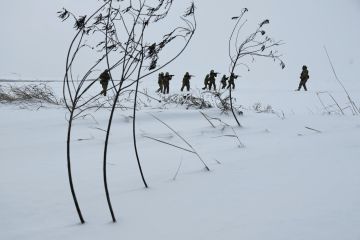 Пленный рассказал, как ВСУ ударили по сдающимся в плен сослуживцам