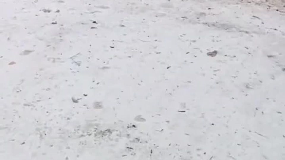 #�������_���_�����������: ������� �� ��������������� �������� �� �������� ����� "���������" � ������, � ��� ����� ���������� �� �������� ������ ������, ������� ����� �� �������