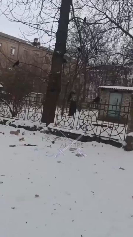 ����� �� ���������������. ����� ������ ���������� ���������� ��������, ������� ����� �������� ������, ��� ������ ������ � ������ ������� "��������"