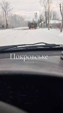 ������ �������: ��������� ����������� ����� "������" �� �� ���������� ���������� ��������������� ATF Dingo ��������� ������������ � �.�. ���������� ���������������� �������